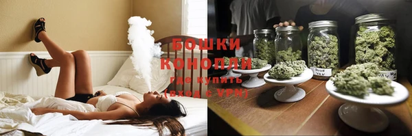 индика Балабаново