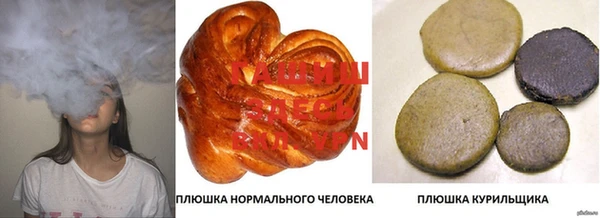 прущие грибы Баксан