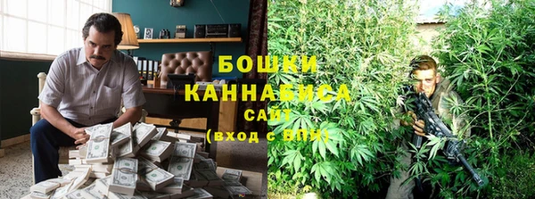 индика Балабаново