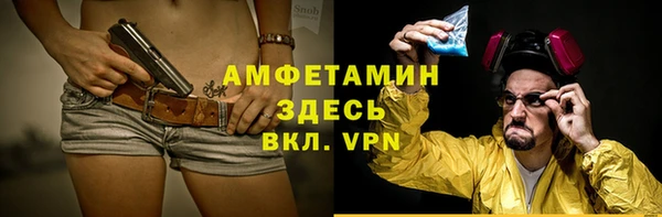 индика Балабаново