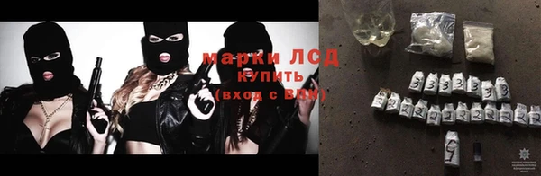 индика Балабаново