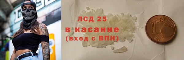 прущие грибы Баксан