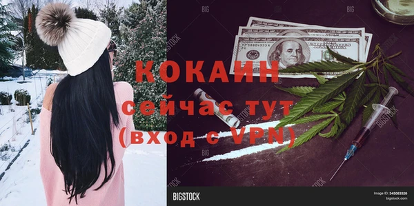индика Балабаново