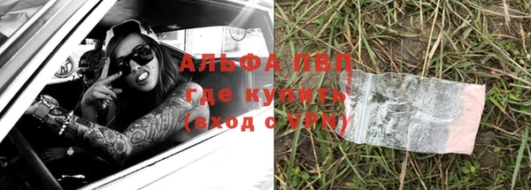 прущие грибы Баксан